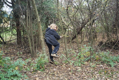 Wald am Lagerplatz