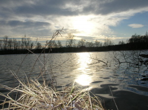 Vogelschutzgebiet Gralla