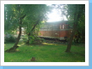 Waggon Waggon